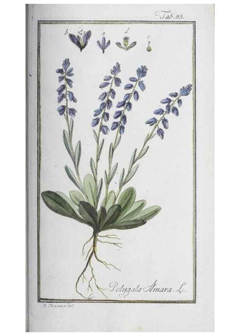 Reproducción/Reproduction 32237281527: Icones plantarum medicinalium.. Nürnberg :auf Kosten der Raspischen Buchhandlung,1779-1790. 