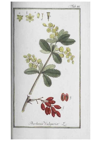 Reproducción/Reproduction 47127179232: Icones plantarum medicinalium.. Nürnberg :auf Kosten der Raspischen Buchhandlung,1779-1790. 