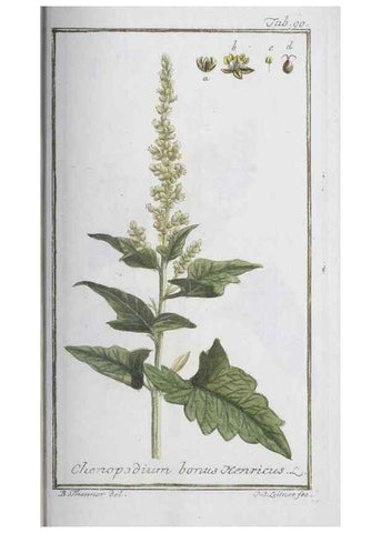 Reproducción/Reproduction 33303743628: Icones plantarum medicinalium.. Nürnberg :auf Kosten der Raspischen Buchhandlung,1779-1790. 