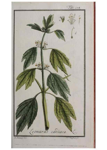 Reproducción/Reproduction 33303907668: Icones plantarum medicinalium.. Nürnberg :auf Kosten der Raspischen Buchhandlung,1779-1790. 