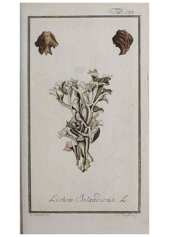 Reproducción/Reproduction 46455679624: Icones plantarum medicinalium.. Nürnberg :auf Kosten der Raspischen Buchhandlung,1779-1790. 