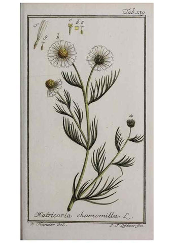 Reproducción/Reproduction 32237435657: Icones plantarum medicinalium.. Nürnberg :auf Kosten der Raspischen Buchhandlung,1779-1790. 