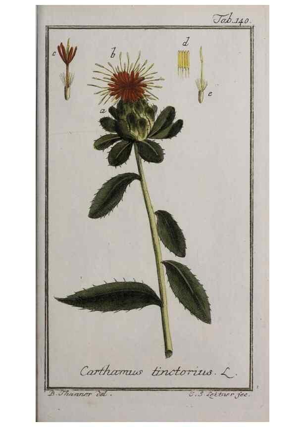 Reproducción/Reproduction 47127366172: Icones plantarum medicinalium.. Nürnberg :auf Kosten der Raspischen Buchhandlung,1779-1790. 