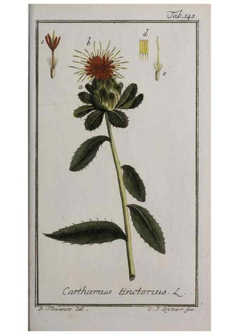 Reproducción/Reproduction 47127366172: Icones plantarum medicinalium.. Nürnberg :auf Kosten der Raspischen Buchhandlung,1779-1790. 