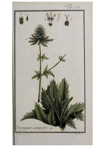 Reproducción/Reproduction 47127361252: Icones plantarum medicinalium.. Nürnberg :auf Kosten der Raspischen Buchhandlung,1779-1790. 