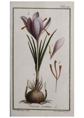 Reproducción/Reproduction 32237449567: Icones plantarum medicinalium.. Nürnberg :auf Kosten der Raspischen Buchhandlung,1779-1790. 