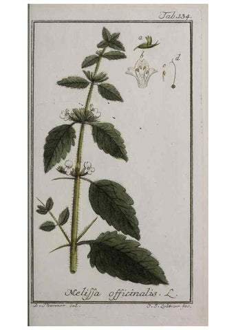 Reproducción/Reproduction 40214347183: Icones plantarum medicinalium.. Nürnberg :auf Kosten der Raspischen Buchhandlung,1779-1790. 