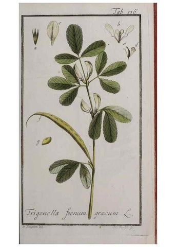 Reproducción/Reproduction 47179173471: Icones plantarum medicinalium.. Nürnberg :auf Kosten der Raspischen Buchhandlung,1779-1790. 