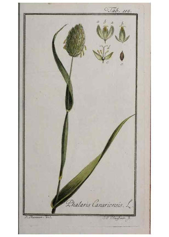 Reproducción/Reproduction 47179174701: Icones plantarum medicinalium.. Nürnberg :auf Kosten der Raspischen Buchhandlung,1779-1790. 