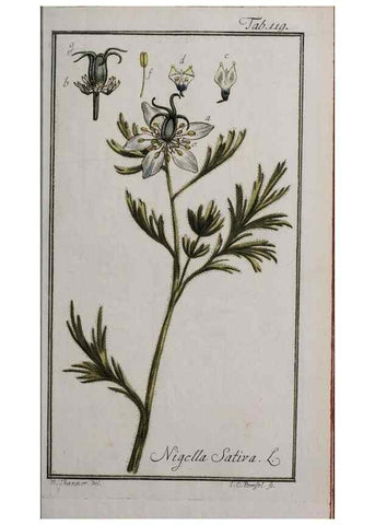 Reproducción/Reproduction 47127345122: Icones plantarum medicinalium.. Nürnberg :auf Kosten der Raspischen Buchhandlung,1779-1790. 