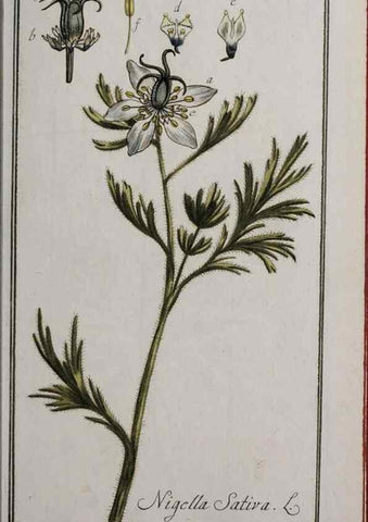 Reproducción/Reproduction 47127345122: Icones plantarum medicinalium.. Nürnberg :auf Kosten der Raspischen Buchhandlung,1779-1790. 