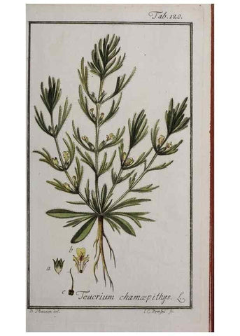 Reproducción/Reproduction 47179175641: Icones plantarum medicinalium.. Nürnberg :auf Kosten der Raspischen Buchhandlung,1779-1790. 