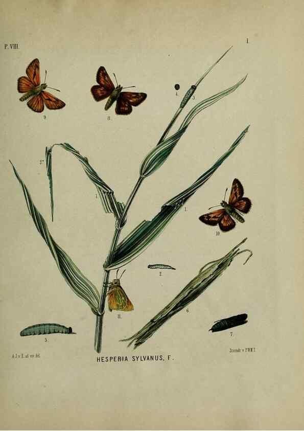 Reproducción/Reproduction 32494989167: Beschouwing der wonderen Gods :. Amsterdam :J.C. Sepp,[1762-1860]. 