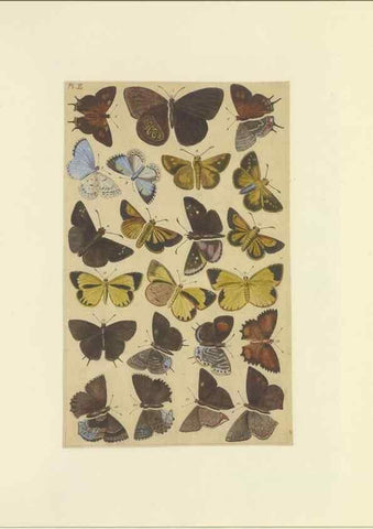 Reproducción/Reproduction 32477061197: Lepidoptera : manuscript. [between 1873-1883?]. 