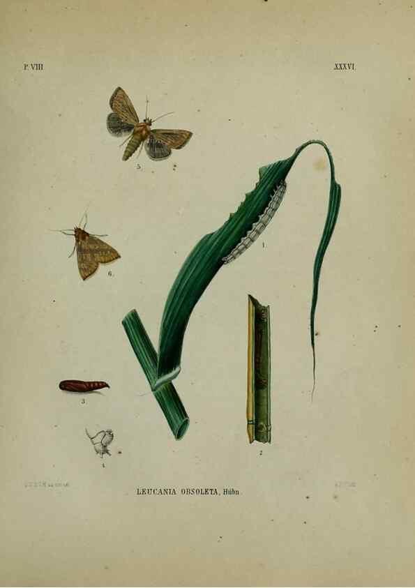 Reproducción/Reproduction 46521522395: Beschouwing der wonderen Gods :. Amsterdam :J.C. Sepp,[1762-1860]. 