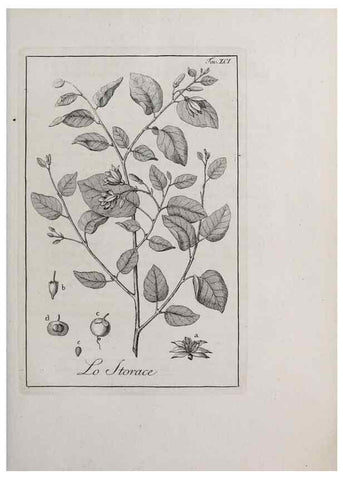 Reproducción/Reproduction 33406323058: Storia delle piante forastiere le più importanti nell'uso medico, od economico /. Milano :Nella stamperia di Giuseppe Marelli,1791-1794.. 