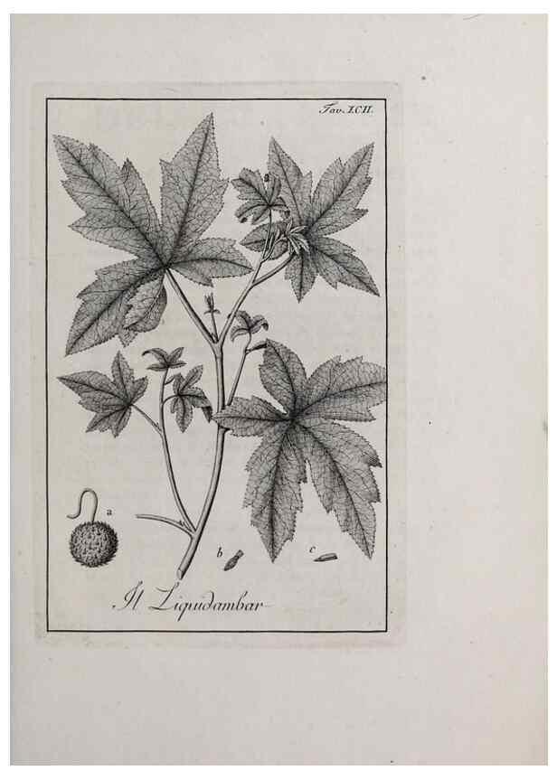 Reproducción/Reproduction 47281913081: Storia delle piante forastiere le più importanti nell'uso medico, od economico /. Milano :Nella stamperia di Giuseppe Marelli,1791-1794.. 