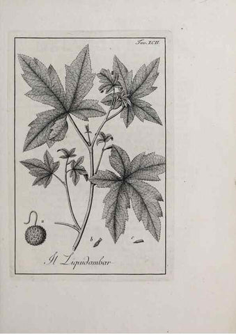 Reproducción/Reproduction 47281913081: Storia delle piante forastiere le più importanti nell'uso medico, od economico /. Milano :Nella stamperia di Giuseppe Marelli,1791-1794.. 