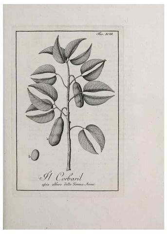 Reproducción/Reproduction 33406324308: Storia delle piante forastiere le più importanti nell'uso medico, od economico /. Milano :Nella stamperia di Giuseppe Marelli,1791-1794.. 