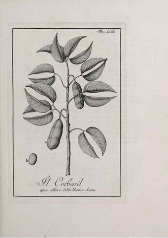 Reproducción/Reproduction 33406324308: Storia delle piante forastiere le più importanti nell'uso medico, od economico /. Milano :Nella stamperia di Giuseppe Marelli,1791-1794.. 