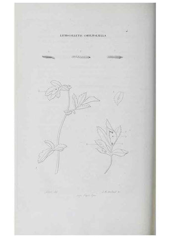 Reproducción/Reproduction 47230171592: Annales de la Société Linnéenne de Lyon.. Lyon :Société Linnéenne de Lyon.. 