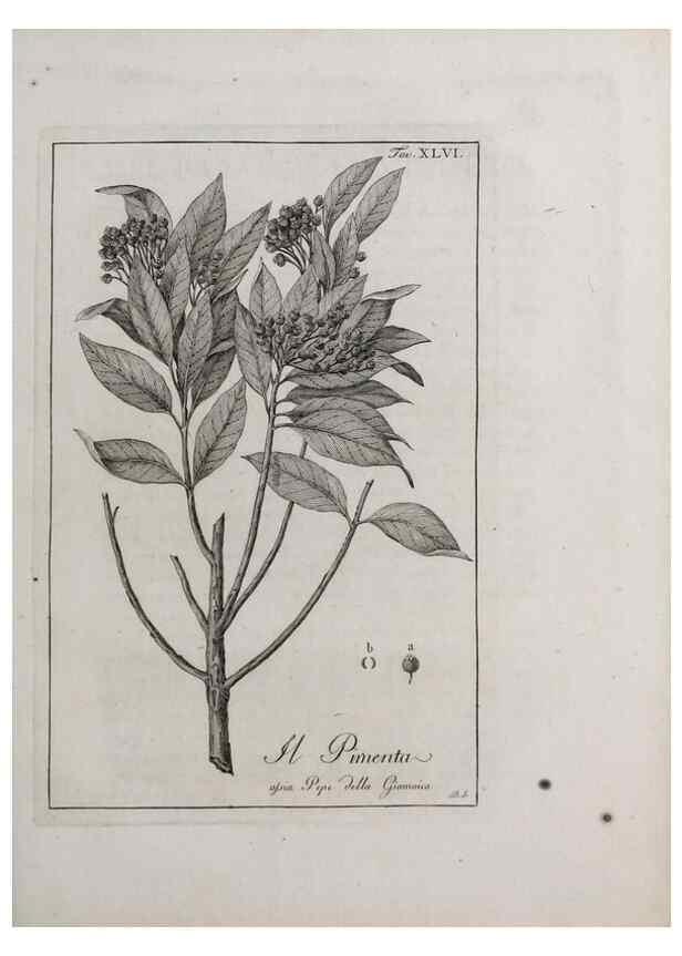Reproducción/Reproduction 46558755154: Storia delle piante forastiere le più importanti nell'uso medico, od economico /. Milano :Nella stamperia di Giuseppe Marelli,1791-1794.. 
