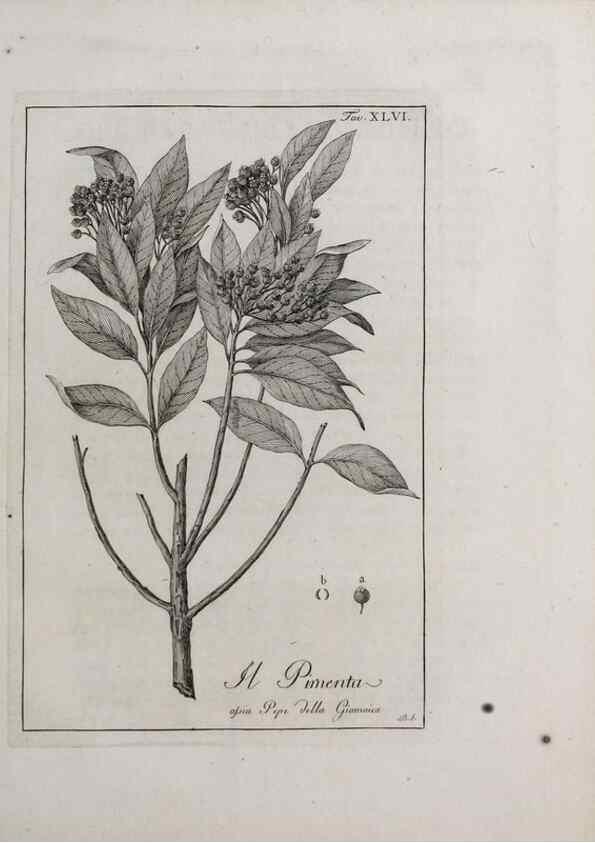 Reproducción/Reproduction 46558755154: Storia delle piante forastiere le più importanti nell'uso medico, od economico /. Milano :Nella stamperia di Giuseppe Marelli,1791-1794.. 