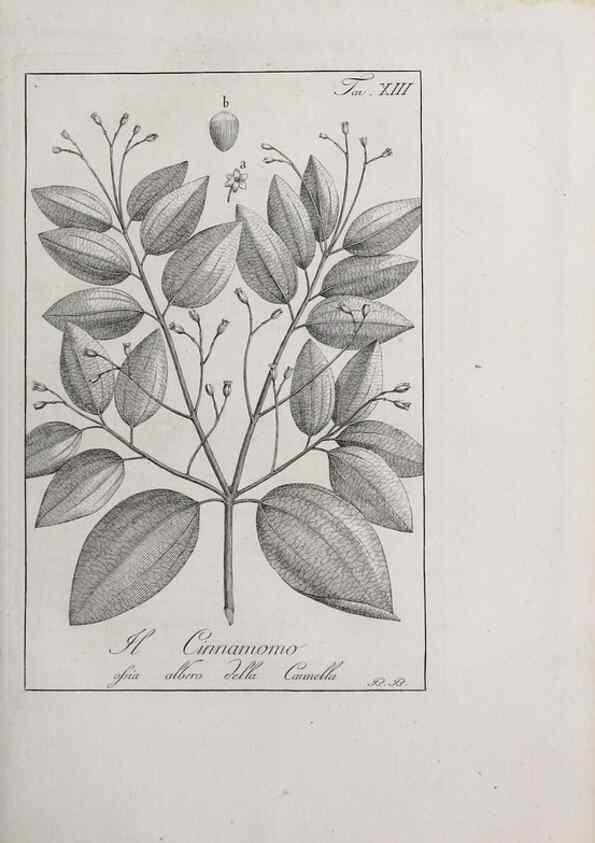 Reproducción/Reproduction 47229683022: Storia delle piante forastiere le più importanti nell'uso medico, od economico /. Milano :Nella stamperia di Giuseppe Marelli,1791-1794.. 