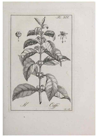 Reproducción/Reproduction 32339927837: Storia delle piante forastiere le più importanti nell'uso medico, od economico /. Milano :Nella stamperia di Giuseppe Marelli,1791-1794.. 