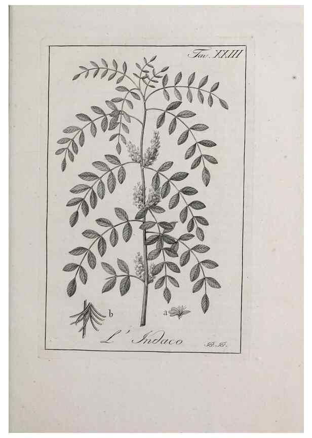 Reproducción/Reproduction 47281712611: Storia delle piante forastiere le più importanti nell'uso medico, od economico /. Milano :Nella stamperia di Giuseppe Marelli,1791-1794.. 