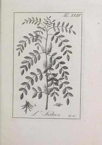Reproducción/Reproduction 47281712611: Storia delle piante forastiere le più importanti nell'uso medico, od economico /. Milano :Nella stamperia di Giuseppe Marelli,1791-1794.. 