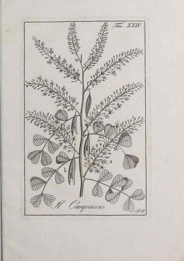 Reproducción/Reproduction 32339931437: Storia delle piante forastiere le più importanti nell'uso medico, od economico /. Milano :Nella stamperia di Giuseppe Marelli,1791-1794.. 