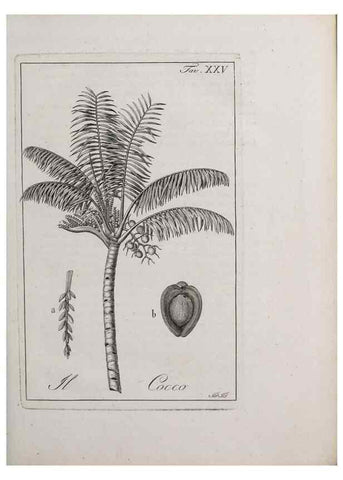 Reproducción/Reproduction 46558743764: Storia delle piante forastiere le più importanti nell'uso medico, od economico /. Milano :Nella stamperia di Giuseppe Marelli,1791-1794.. 