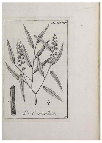 Reproducción/Reproduction 46558825354: Storia delle piante forastiere le più importanti nell'uso medico, od economico /. Milano :Nella stamperia di Giuseppe Marelli,1791-1794.. 