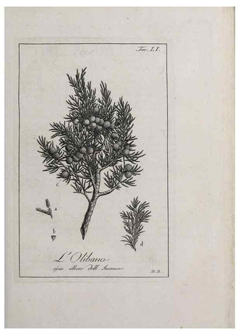 Reproducción/Reproduction 47229830212: Storia delle piante forastiere le più importanti nell'uso medico, od economico /. Milano :Nella stamperia di Giuseppe Marelli,1791-1794.. 