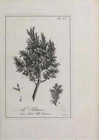 Reproducción/Reproduction 47229830212: Storia delle piante forastiere le più importanti nell'uso medico, od economico /. Milano :Nella stamperia di Giuseppe Marelli,1791-1794.. 