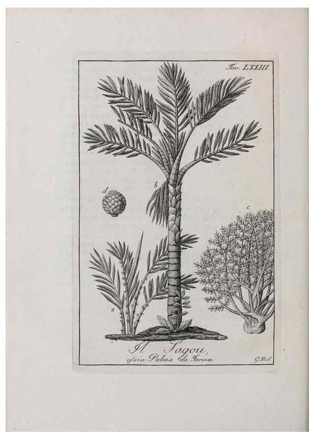 Reproducción/Reproduction 47229884192: Storia delle piante forastiere le più importanti nell'uso medico, od economico /. Milano :Nella stamperia di Giuseppe Marelli,1791-1794.. 