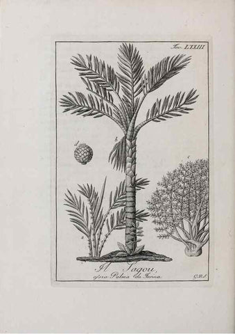 Reproducción/Reproduction 47229884192: Storia delle piante forastiere le più importanti nell'uso medico, od economico /. Milano :Nella stamperia di Giuseppe Marelli,1791-1794.. 