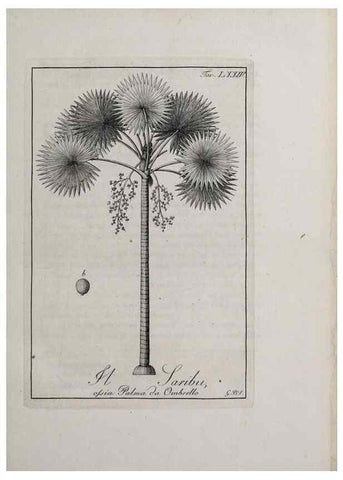 Reproducción/Reproduction 46367425365: Storia delle piante forastiere le più importanti nell'uso medico, od economico /. Milano :Nella stamperia di Giuseppe Marelli,1791-1794.. 