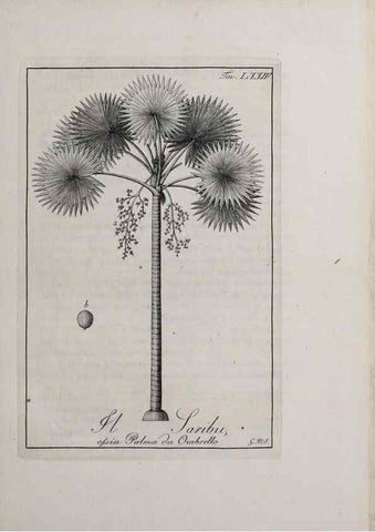 Reproducción/Reproduction 46367425365: Storia delle piante forastiere le più importanti nell'uso medico, od economico /. Milano :Nella stamperia di Giuseppe Marelli,1791-1794.. 