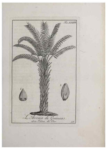 Reproducción/Reproduction 47229886692: Storia delle piante forastiere le più importanti nell'uso medico, od economico /. Milano :Nella stamperia di Giuseppe Marelli,1791-1794.. 