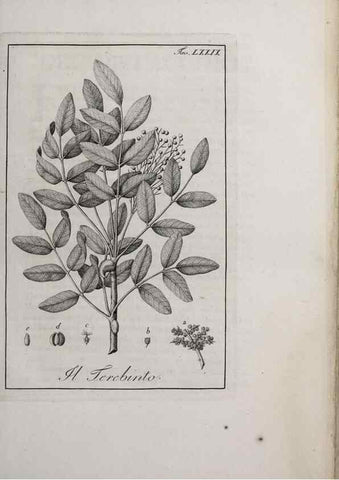 Reproducción/Reproduction 47229888942: Storia delle piante forastiere le più importanti nell'uso medico, od economico /. Milano :Nella stamperia di Giuseppe Marelli,1791-1794.. 