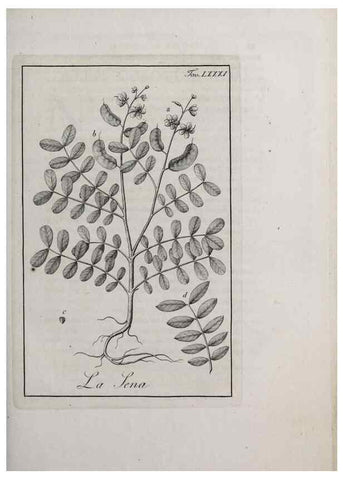 Reproducción/Reproduction 46558820214: Storia delle piante forastiere le più importanti nell'uso medico, od economico /. Milano :Nella stamperia di Giuseppe Marelli,1791-1794.. 