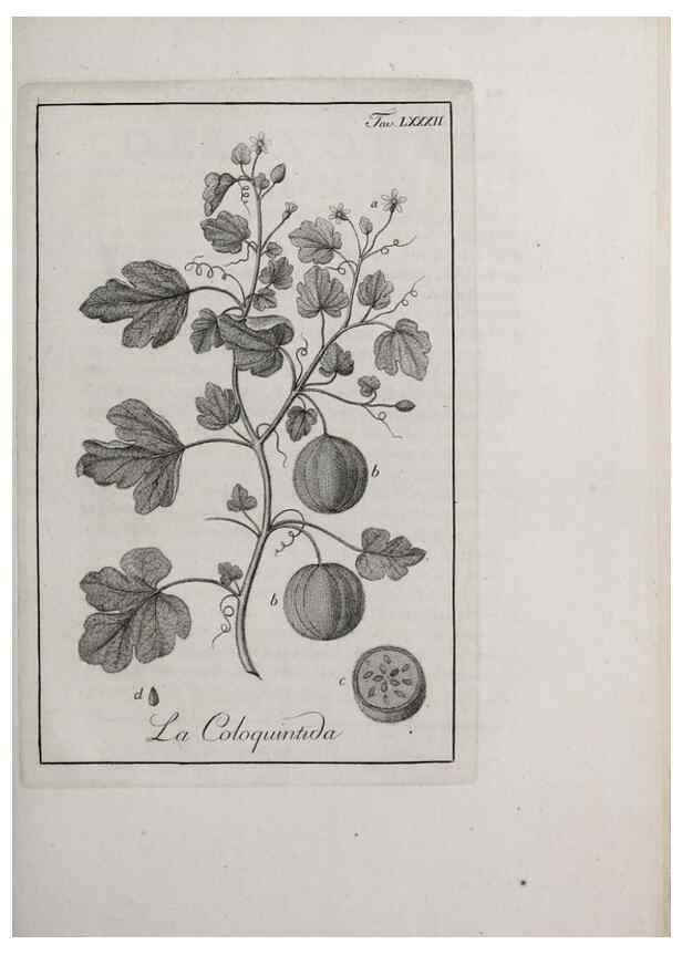 Reproducción/Reproduction 46367429085: Storia delle piante forastiere le più importanti nell'uso medico, od economico /. Milano :Nella stamperia di Giuseppe Marelli,1791-1794.. 