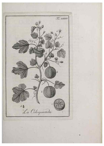 Reproducción/Reproduction 46367429085: Storia delle piante forastiere le più importanti nell'uso medico, od economico /. Milano :Nella stamperia di Giuseppe Marelli,1791-1794.. 