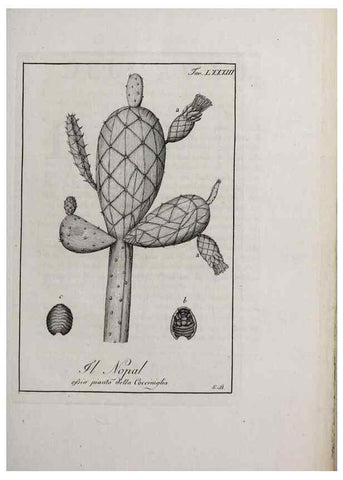 Reproducción/Reproduction 33406316838: Storia delle piante forastiere le più importanti nell'uso medico, od economico /. Milano :Nella stamperia di Giuseppe Marelli,1791-1794.. 