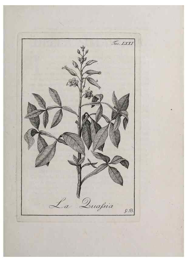 Reproducción/Reproduction 47229842232: Storia delle piante forastiere le più importanti nell'uso medico, od economico /. Milano :Nella stamperia di Giuseppe Marelli,1791-1794.. 