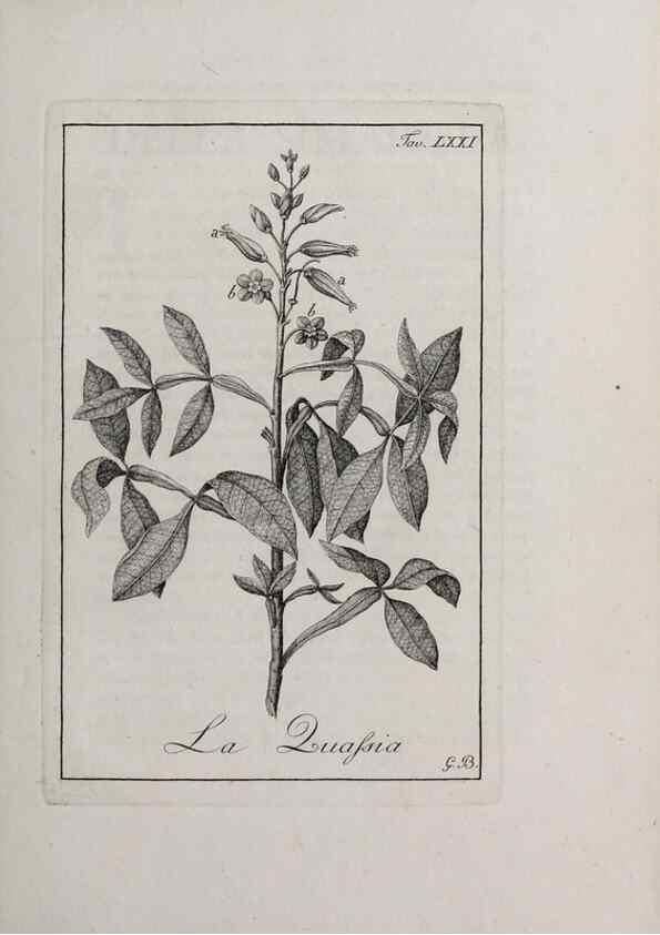Reproducción/Reproduction 47229842232: Storia delle piante forastiere le più importanti nell'uso medico, od economico /. Milano :Nella stamperia di Giuseppe Marelli,1791-1794.. 