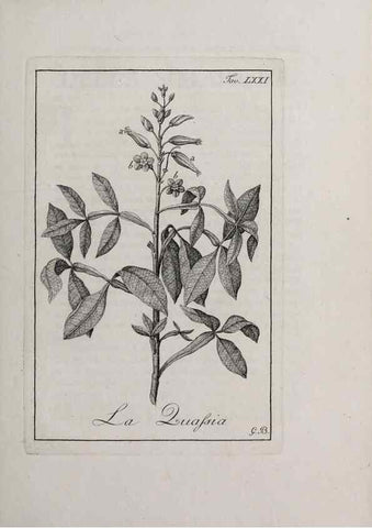 Reproducción/Reproduction 47229842232: Storia delle piante forastiere le più importanti nell'uso medico, od economico /. Milano :Nella stamperia di Giuseppe Marelli,1791-1794.. 