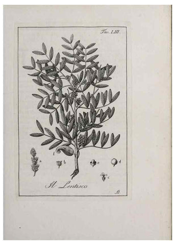 Reproducción/Reproduction 46367387705: Storia delle piante forastiere le più importanti nell'uso medico, od economico /. Milano :Nella stamperia di Giuseppe Marelli,1791-1794.. 